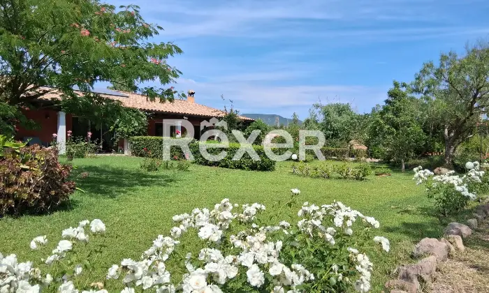 Rexer-Masainas-Intero-edificio-in-vendita-in-Via-Tirso-a-Masainas-Altro