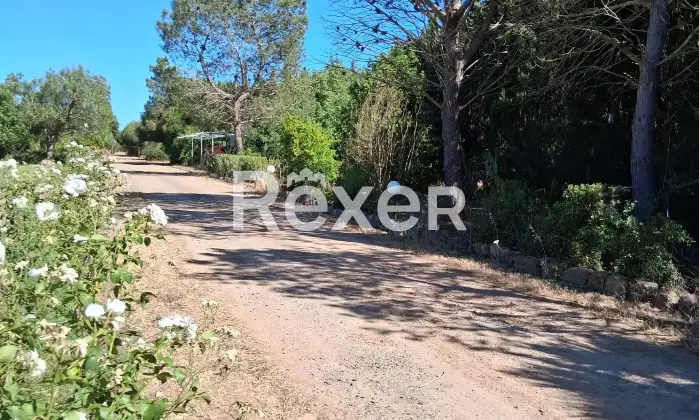 Rexer-Masainas-Intero-edificio-in-vendita-in-Via-Tirso-a-Masainas-Altro