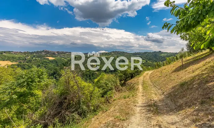 Rexer-Diano-dAlba-Casa-indipendente-con-ampio-giardino-e-autorimesse-Altro