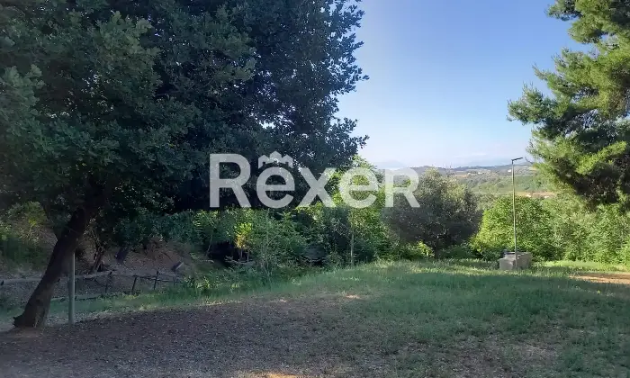 Rexer-Elice-Casa-indipendente-mq-con-ettaro-di-terreno-e-uliveto-Elice-Strada-Lungofino-Altro