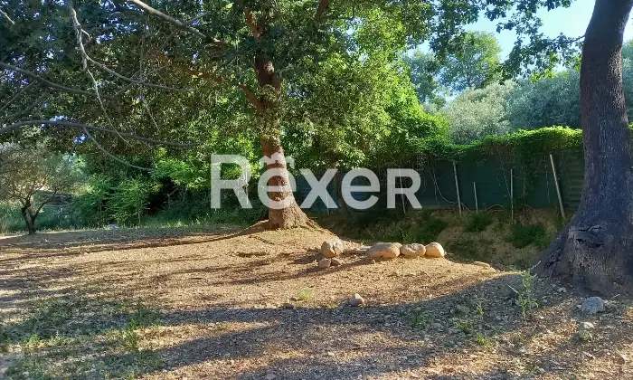 Rexer-Elice-Casa-indipendente-mq-con-ettaro-di-terreno-e-uliveto-Elice-Strada-Lungofino-Altro