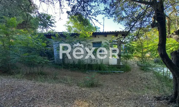 Rexer-Elice-Casa-indipendente-mq-con-ettaro-di-terreno-e-uliveto-Elice-Strada-Lungofino-Altro