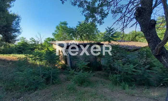 Rexer-Elice-Casa-indipendente-mq-con-ettaro-di-terreno-e-uliveto-Elice-Strada-Lungofino-Altro