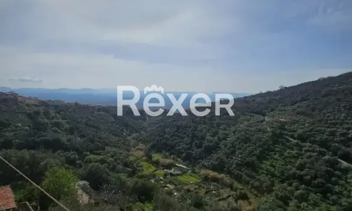 Rexer-Bolotana-Vendesi-appartamento-con-posto-auto-coperto-Via-Lei-Bolotana-NU-Altro