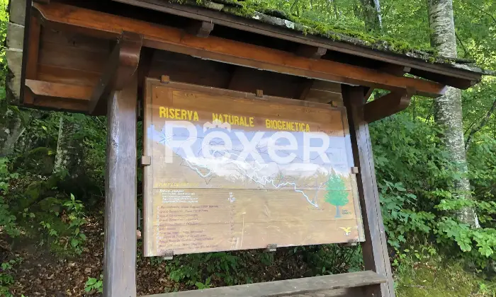 Rexer-Abetone-Cutigliano-Abetone-Cutigliano-Pt-loc-Piandinovello-affittasi-appartamento-Esterno