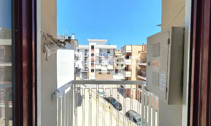 Rexer-Ruvo-di-Puglia-Pentavani-Estramurale-Scarlatti-Ruvo-di-Puglia-Altro