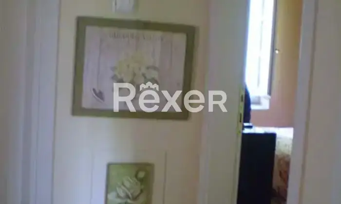 Rexer-Prignano-sulla-Secchia-Prestigiosa-propriet-storica-con-due-appartamenti-ex-stalla-e-ampio-spazio-esterno-Prignano-sulla-Secchia-MO-Altro