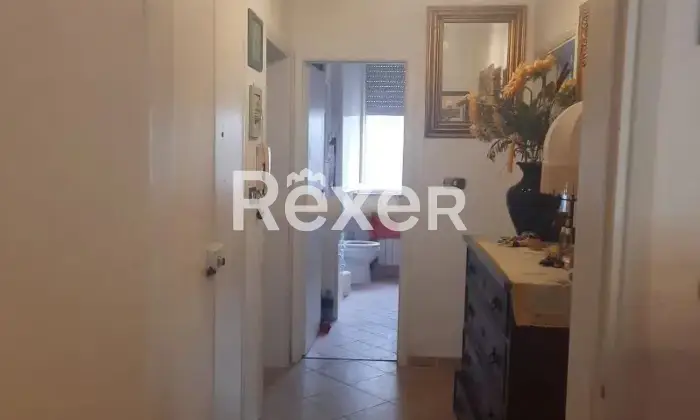 Rexer-Rosignano-SolvayCastiglioncello-Vendesi-quadrilocale-Via-E-Malatesta-Rosignano-Marittimo-LI-Altro