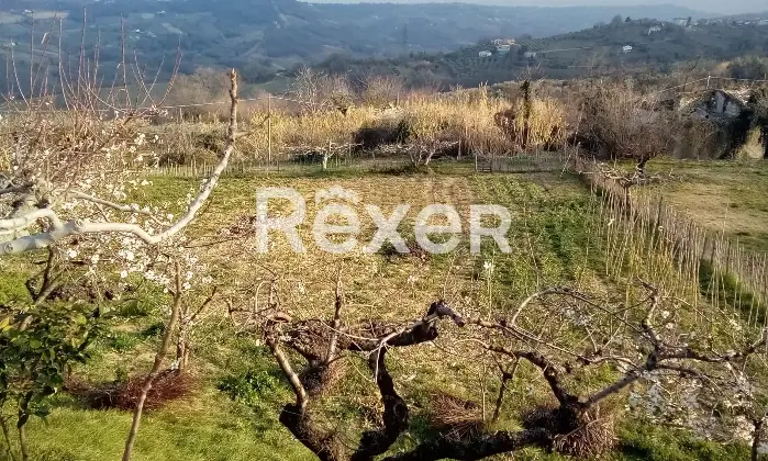 Rexer-Casacanditella-Terreno-edificabile-mq-zona-strategica-vicino-ai-servizi-Altro