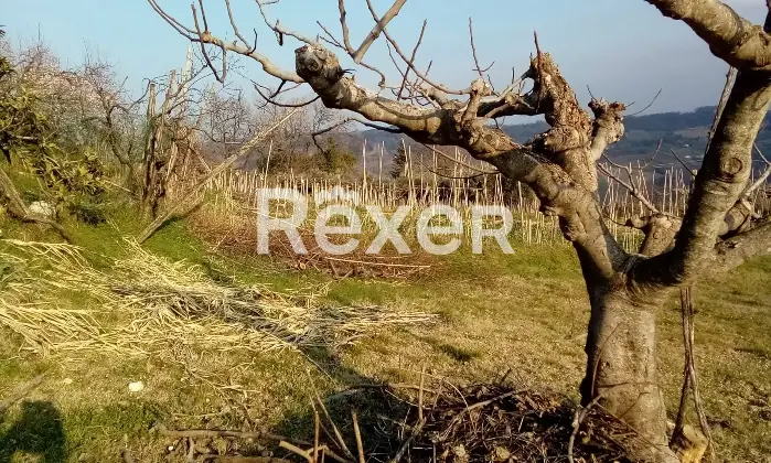 Rexer-Casacanditella-Terreno-edificabile-mq-zona-strategica-vicino-ai-servizi-Altro