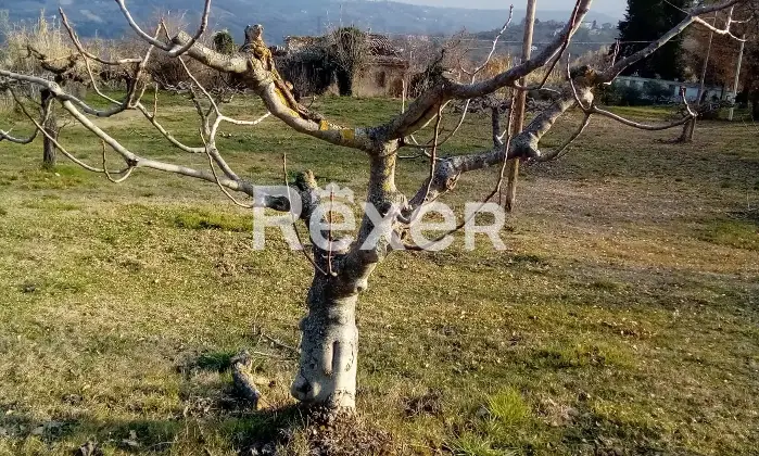 Rexer-Casacanditella-Terreno-edificabile-mq-zona-strategica-vicino-ai-servizi-Altro