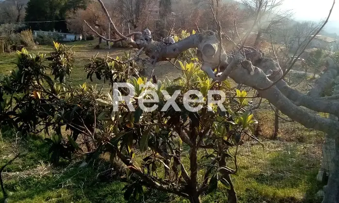Rexer-Casacanditella-Terreno-edificabile-mq-zona-strategica-vicino-ai-servizi-Altro