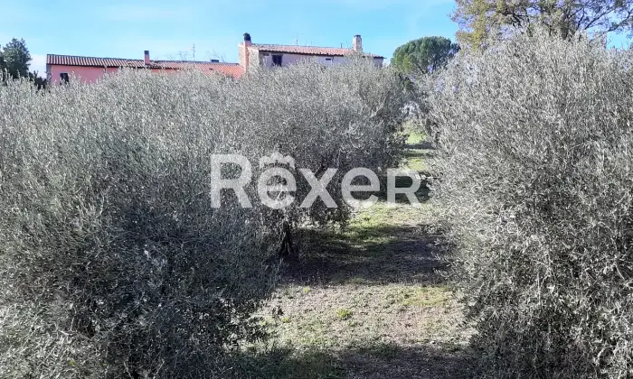 Rexer-Sorano-Villa-panoramica-con-uliveto-e-ampio-terreno-in-vendita-a-Sorano-Localit-Poderetto-Altro