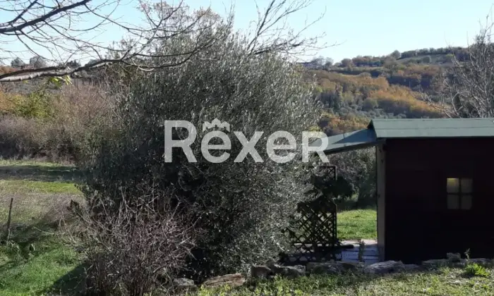 Rexer-Sorano-Villa-panoramica-con-uliveto-e-ampio-terreno-in-vendita-a-Sorano-Localit-Poderetto-Altro