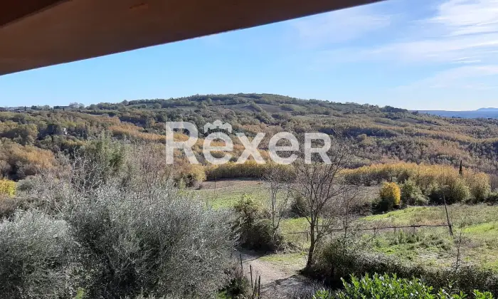 Rexer-Sorano-Villa-panoramica-con-uliveto-e-ampio-terreno-in-vendita-a-Sorano-Localit-Poderetto-Altro