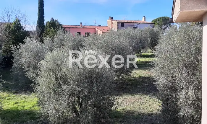 Rexer-Sorano-Villa-panoramica-con-uliveto-e-ampio-terreno-in-vendita-a-Sorano-Localit-Poderetto-Altro