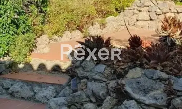 Rexer-Cala-Spalmatoio-Villetta-bifamiliare-in-vendita-in-Isola-di-Giannutri-Cala-spalmatoio-Isola-del-Giglio-Altro