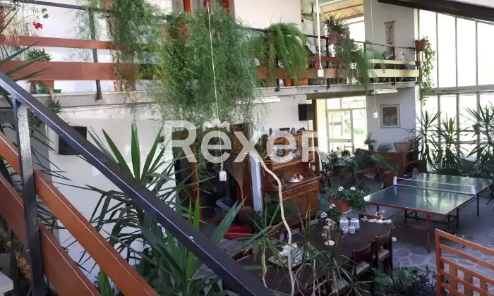 Rexer-Santa-Fiora-Santa-Fiora-Via-Giacomo-Matteotti-Ampia-propriet-con-piscina-e-mq-di-terreno-Altro