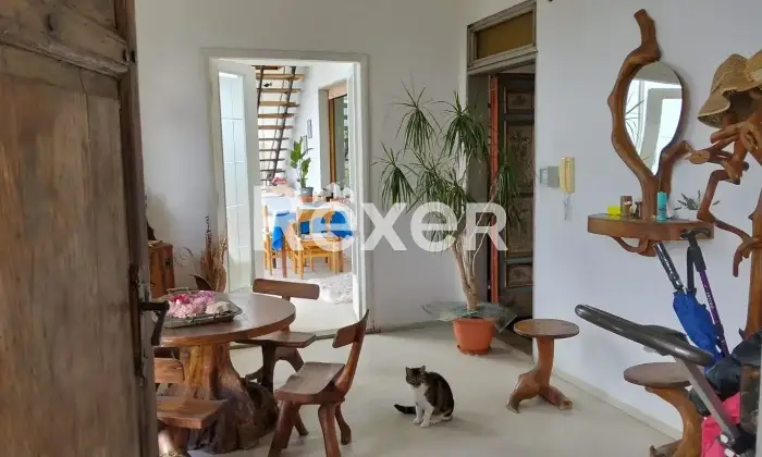 Rexer-Santa-Fiora-Santa-Fiora-Via-Giacomo-Matteotti-Ampia-propriet-con-piscina-e-mq-di-terreno-Altro