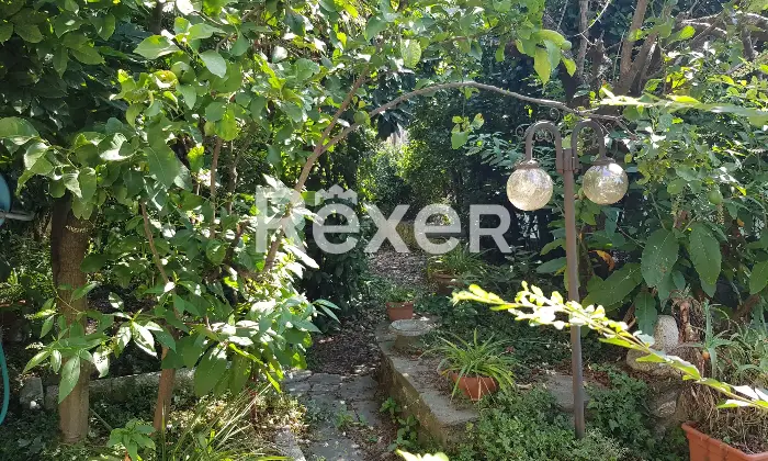 Rexer-Carrara-Villa-vista-mare-prima-collina-a-Fossola-Carrara-Giardino