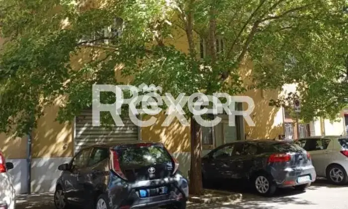 Rexer-Modena-Negozio-Posizione-Strategica-e-di-Forte-Passaggio-Altro
