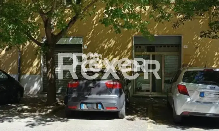 Rexer-Modena-Negozio-Posizione-Strategica-e-di-Forte-Passaggio-Altro