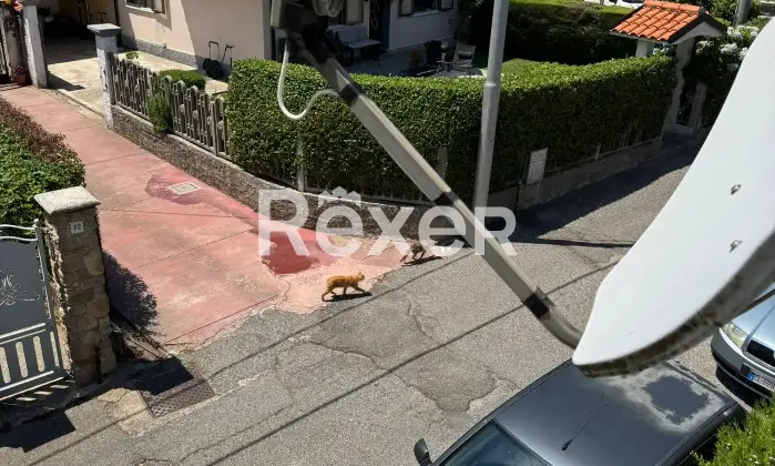 Rexer-San-Vito-Sullo-Ionio-Ampio-appartamento-di-mq-in-ottime-condizioni-con-due-balconi-nel-centro-di-San-Vito-sullo-Ionio-Altro