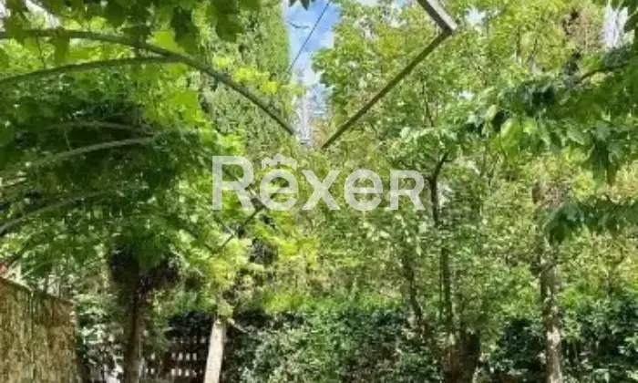 Rexer-Massarosa-Propriet-panoramica-con-grande-potenziale-di-investimento-Localit-Bargecchia-Massarosa-LU-Altro