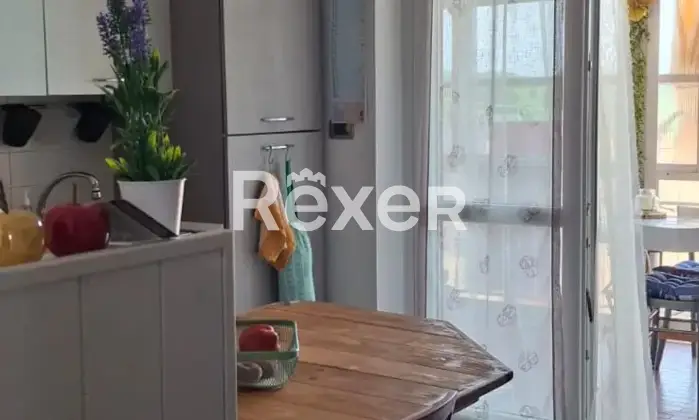 Rexer-Vigone-Luminoso-trilocale-con-terrazzi-garage-cantina-e-orto-a-Vigone-Altro