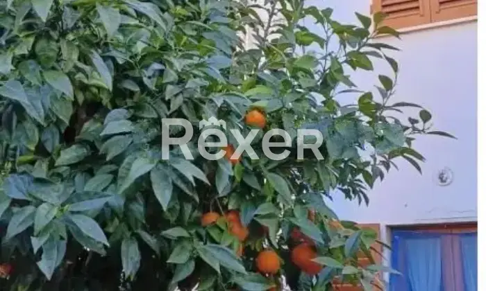 Rexer-Prato-Terratetto-indipendente-con-ampi-spazi-giardino-e-posti-auto-Altro