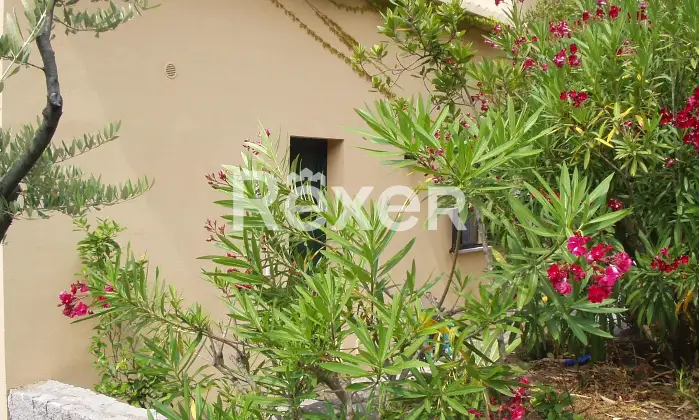 Rexer-Campo-nellElba-Appartamento-con-terrazza-vista-mare-Cortile