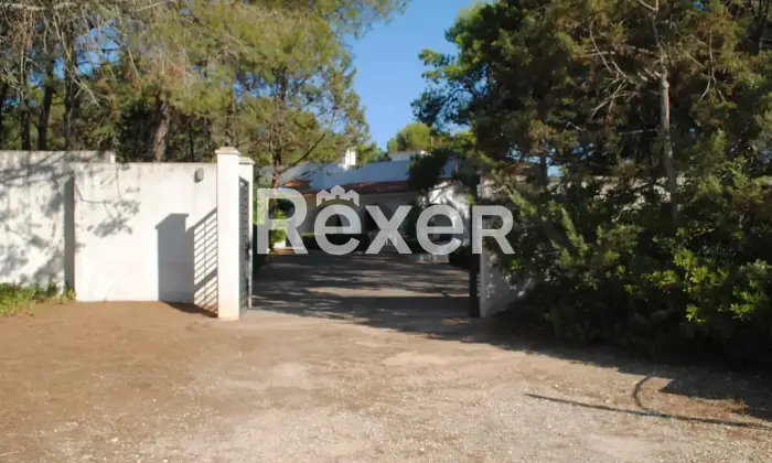 Rexer-uggiano-montefusco-Manduria-Prestigiosa-Villa-con-Uliveto-a-Minuti-dal-Mare-del-Salento-Altro