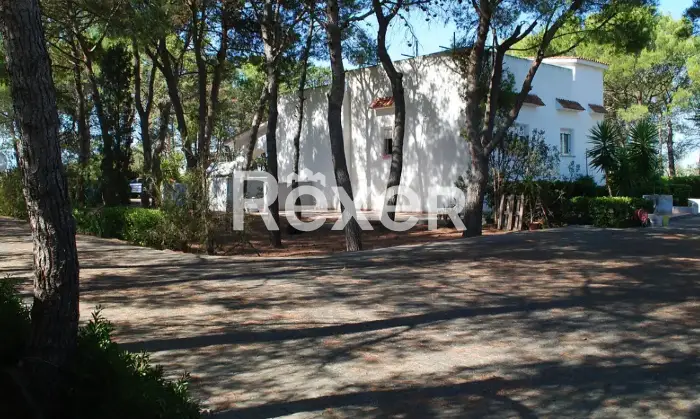 Rexer-Manduria-Uggiano-Montefusco-Prestigiosa-Villa-con-Uliveto-a-Minuti-dal-Mare-del-Salento-Altro
