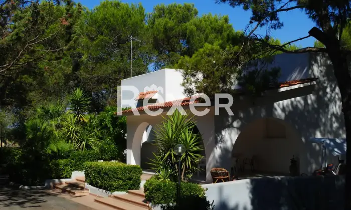 Rexer-uggiano-montefusco-Manduria-Prestigiosa-Villa-con-Uliveto-a-Minuti-dal-Mare-del-Salento-Altro