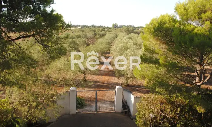 Rexer-Manduria-Uggiano-Montefusco-Prestigiosa-Villa-con-Uliveto-a-Minuti-dal-Mare-del-Salento-Altro