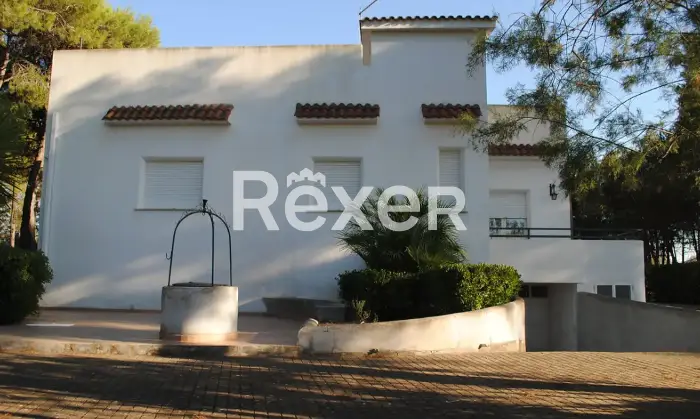 Rexer-uggiano-montefusco-Manduria-Prestigiosa-Villa-con-Uliveto-a-Minuti-dal-Mare-del-Salento-Altro