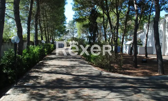 Rexer-Manduria-Uggiano-Montefusco-Prestigiosa-Villa-con-Uliveto-a-Minuti-dal-Mare-del-Salento-Altro