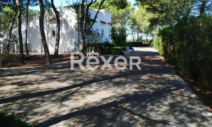 Rexer-uggiano-montefusco-Manduria-Prestigiosa-Villa-con-Uliveto-a-Minuti-dal-Mare-del-Salento-Altro