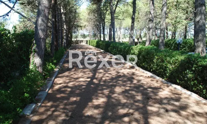 Rexer-Manduria-Uggiano-Montefusco-Prestigiosa-Villa-con-Uliveto-a-Minuti-dal-Mare-del-Salento-Altro