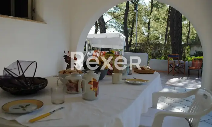 Rexer-uggiano-montefusco-Manduria-Prestigiosa-Villa-con-Uliveto-a-Minuti-dal-Mare-del-Salento-Altro