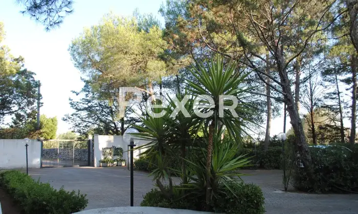 Rexer-uggiano-montefusco-Manduria-Prestigiosa-Villa-con-Uliveto-a-Minuti-dal-Mare-del-Salento-Altro