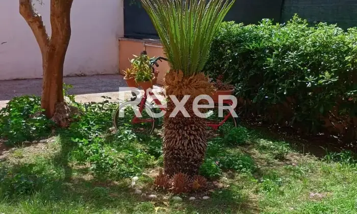 Rexer-Sabaudia-Apartment-with-a-garden-in-Sabaudia-Giardino