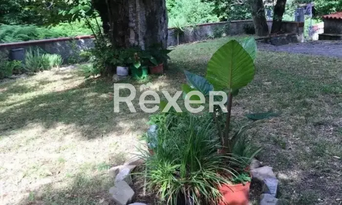 Rexer-Comano-Vendesi-villa-a-schiera-Strada-Provinciale-Localit-Piano-Comano-MS-Altro