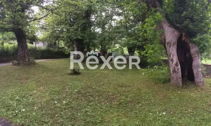 Rexer-Comano-Vendesi-villa-a-schiera-Strada-Provinciale-Localit-Piano-Comano-MS-Altro