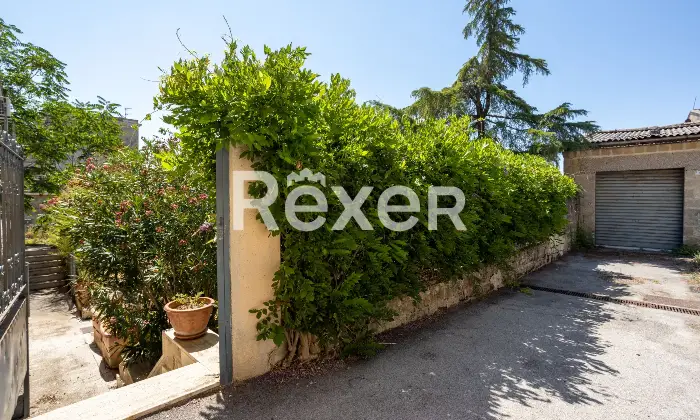 Rexer-Palazzo-San-Gervasio-Eleganza-indipendenza-e-grandi-spazi-nel-cuore-di-Palazzo-San-Gervasio-Altro