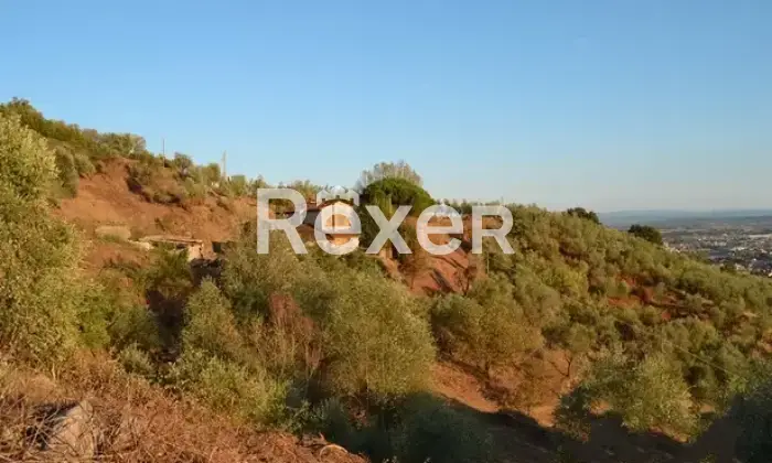 Rexer-Massa-e-Cozzile-Casale-con-mq-di-terreno-e-vista-panoramica-a-minuti-da-Montecatini-Terme-Altro