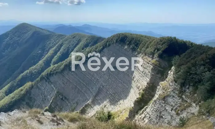 Rexer-Badia-Tedalda-Badia-Tedalda-AR-Due-abitazioni-in-pietra-con-doppi-giardini-vista-panoramica-e-possibilit-di-terreno-e-stalla-Altro