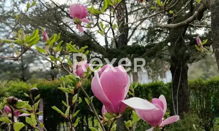 Rexer-Pontinvrea-Pontinvrea-SV-Trilocale-con-giardino-privato-di-mq-balconi-e-possibilit-di-due-posti-auto-Altro