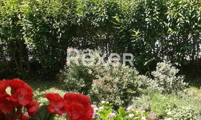 Rexer-Pontinvrea-Pontinvrea-SV-Trilocale-con-giardino-privato-di-mq-balconi-e-possibilit-di-due-posti-auto-Altro