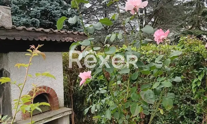 Rexer-Pontinvrea-Pontinvrea-SV-Trilocale-con-giardino-privato-di-mq-balconi-e-possibilit-di-due-posti-auto-Altro